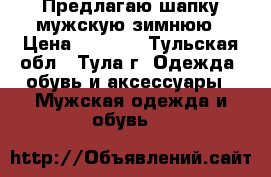 Предлагаю шапку мужскую зимнюю › Цена ­ 3 000 - Тульская обл., Тула г. Одежда, обувь и аксессуары » Мужская одежда и обувь   
